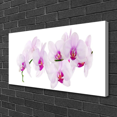 Canvas Wall art Flowers floral pink