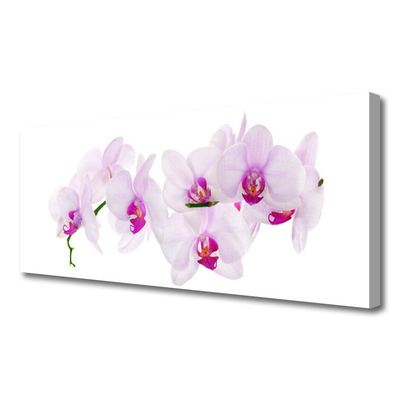 Canvas Wall art Flowers floral pink