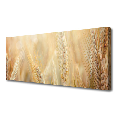 Canvas Wall art Wheat floral brown