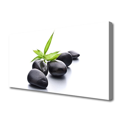 Canvas Wall art Stones art black