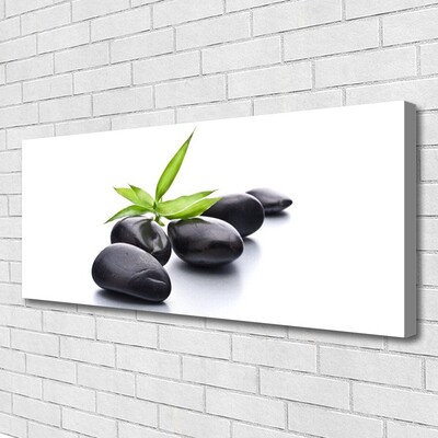 Canvas Wall art Stones art black