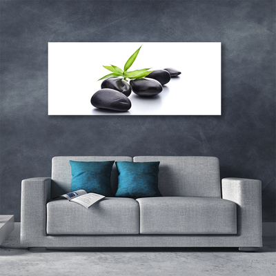 Canvas Wall art Stones art black