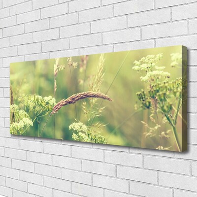 Canvas Wall art Wild plants floral white green brown