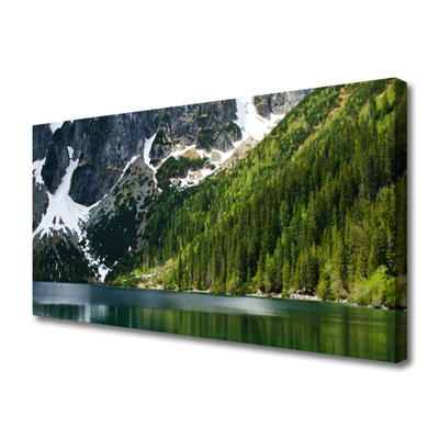 Canvas Wall art Lake forest mountains landscape grey white green