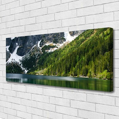 Canvas Wall art Lake forest mountains landscape grey white green