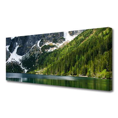 Canvas Wall art Lake forest mountains landscape grey white green