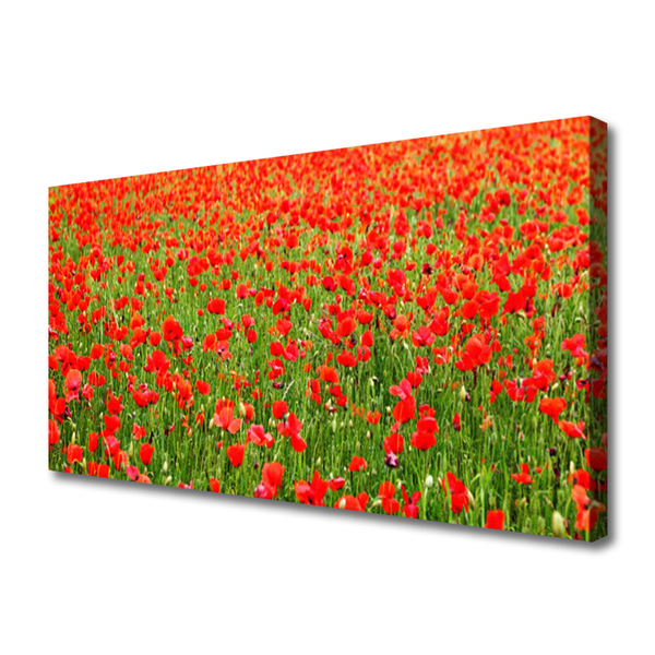 Canvas Wall art Poppies nature red green