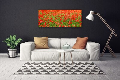 Canvas Wall art Poppies nature red green