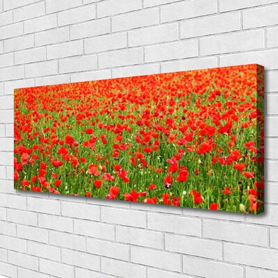 Canvas Wall art Poppies nature red green