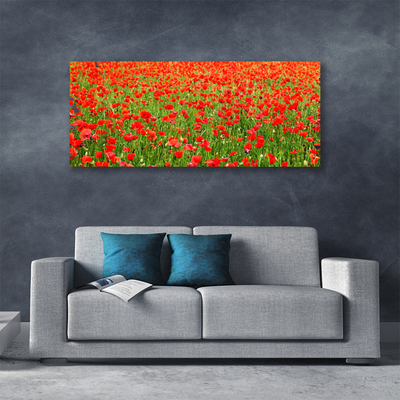 Canvas Wall art Poppies nature red green