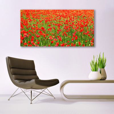 Canvas Wall art Poppies nature red green