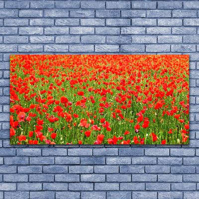 Canvas Wall art Poppies nature red green