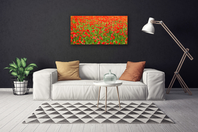 Canvas Wall art Poppies nature red green