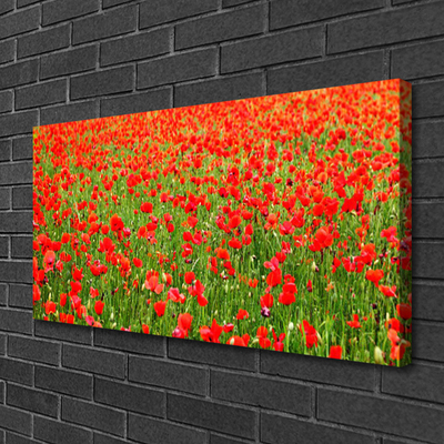 Canvas Wall art Poppies nature red green