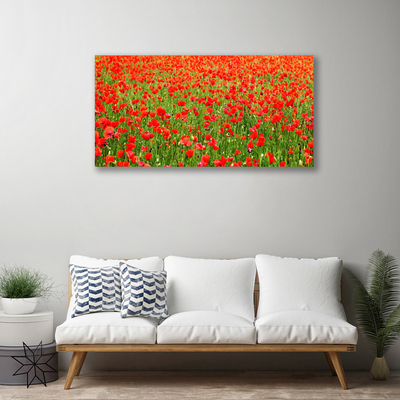 Canvas Wall art Poppies nature red green