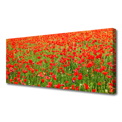 Canvas Wall art Poppies nature red green