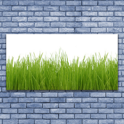 Canvas Wall art Grass nature green