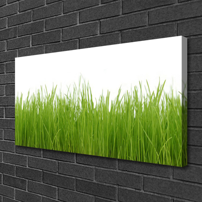 Canvas Wall art Grass nature green