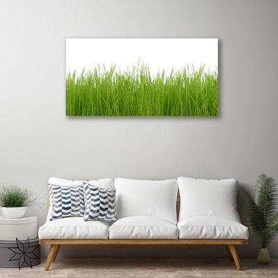 Canvas Wall art Grass nature green