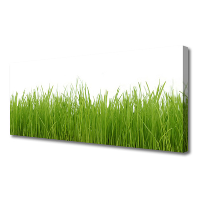 Canvas Wall art Grass nature green