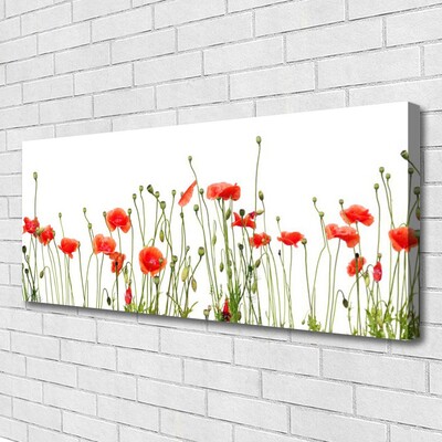 Canvas Wall art Poppies floral red green