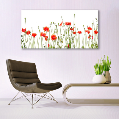 Canvas Wall art Poppies floral red green