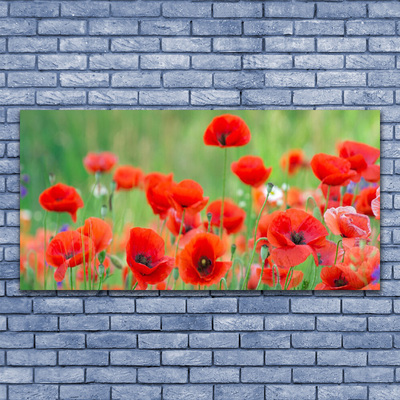 Canvas Wall art Poppies floral red black