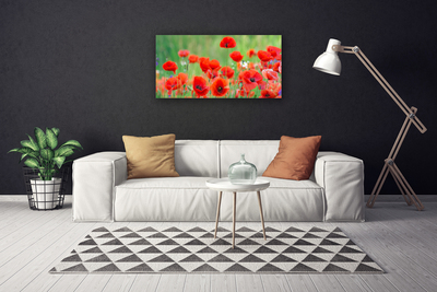 Canvas Wall art Poppies floral red black