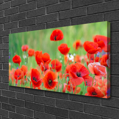 Canvas Wall art Poppies floral red black