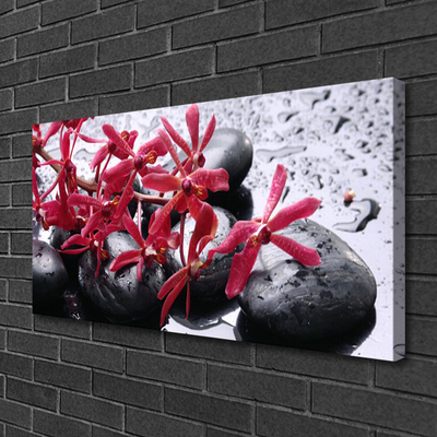 Canvas Wall art Flower stones art black red