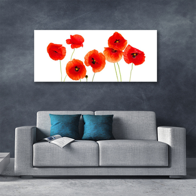 Canvas Wall art Poppies floral red black