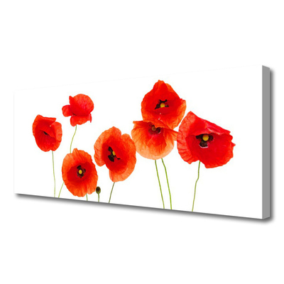 Canvas Wall art Poppies floral red black