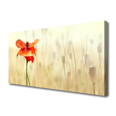 Canvas Wall art Poppy floral red green