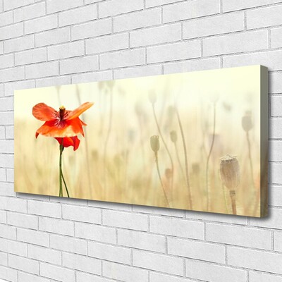 Canvas Wall art Poppy floral red green