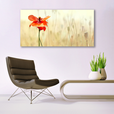 Canvas Wall art Poppy floral red green