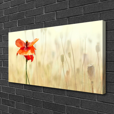 Canvas Wall art Poppy floral red green