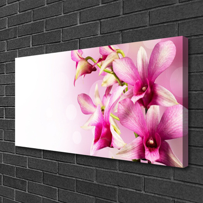 Canvas Wall art Flowers floral pink