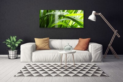 Canvas Wall art Grass dew drops floral green