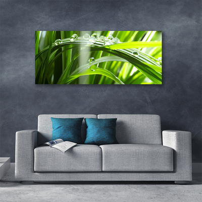 Canvas Wall art Grass dew drops floral green