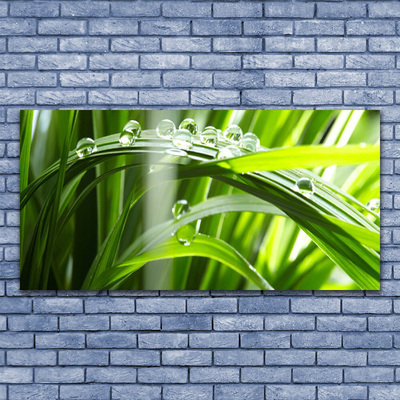 Canvas Wall art Grass dew drops floral green