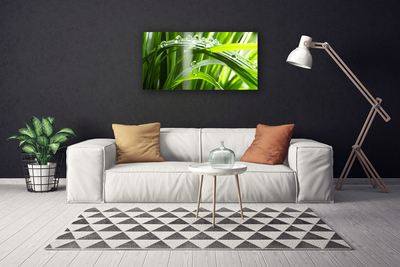 Canvas Wall art Grass dew drops floral green