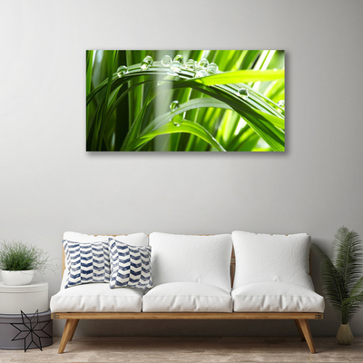 Canvas Wall art Grass dew drops floral green