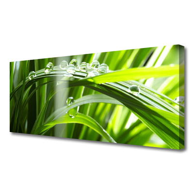 Canvas Wall art Grass dew drops floral green