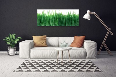 Canvas Wall art Weed nature green