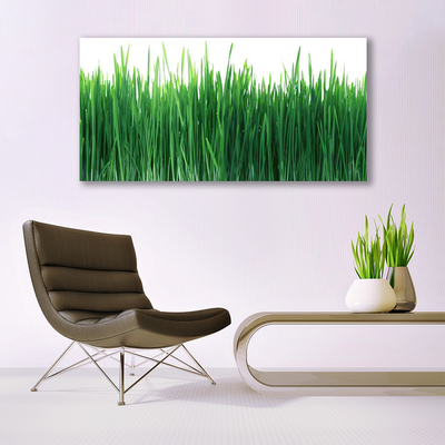 Canvas Wall art Weed nature green