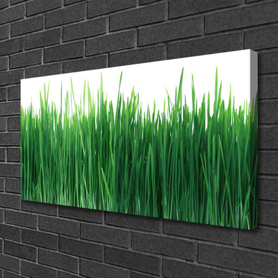 Canvas Wall art Weed nature green