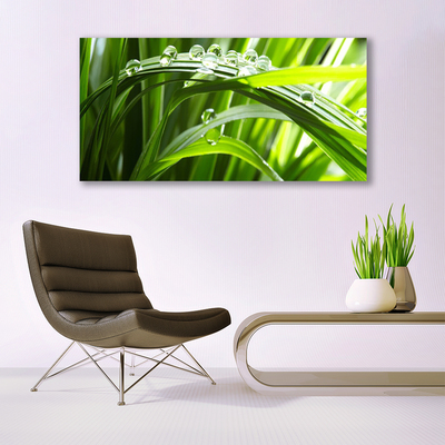 Canvas Wall art Grass water drops nature green