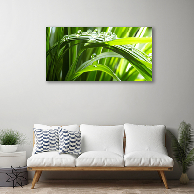 Canvas Wall art Grass water drops nature green