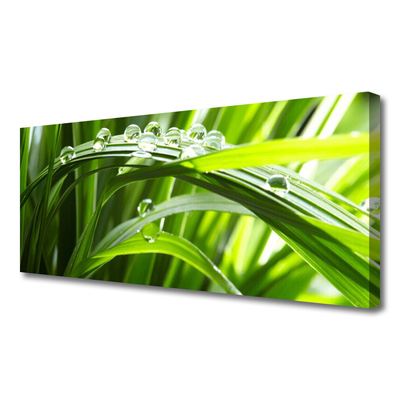 Canvas Wall art Grass water drops nature green