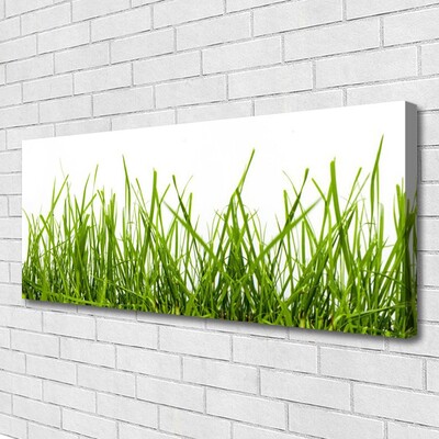 Canvas Wall art Grass nature green